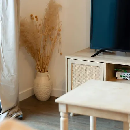 Le Nicole Un En Duplex Avec Balcon Et Place De Parking Apartment